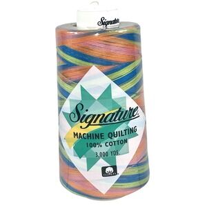 Signature Variegated 40 Weight Cotton Thread 3000 Yard Cone - Summery Fun